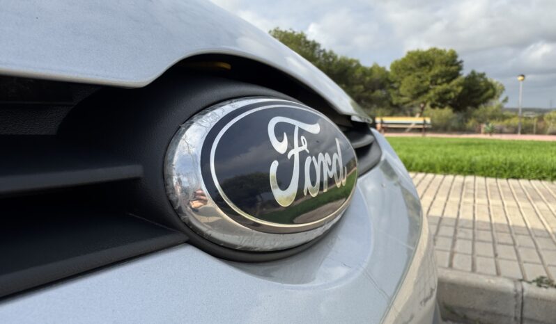 Ford Fiesta 2010 Silver full